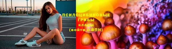 прущий лед Дмитровск