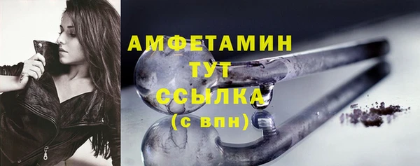 apvp Дмитриев